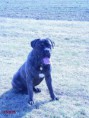 /album/fotogaleria-fotogaleria/amos10-jpg/